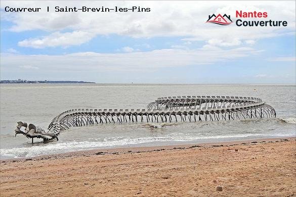 Couvreur   Saint-Brevin-les-Pins 44250