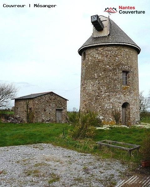 Couvreur   Mésanger 44522